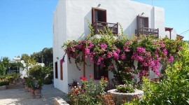 Deidamia Hotel - Magazia Skyros
